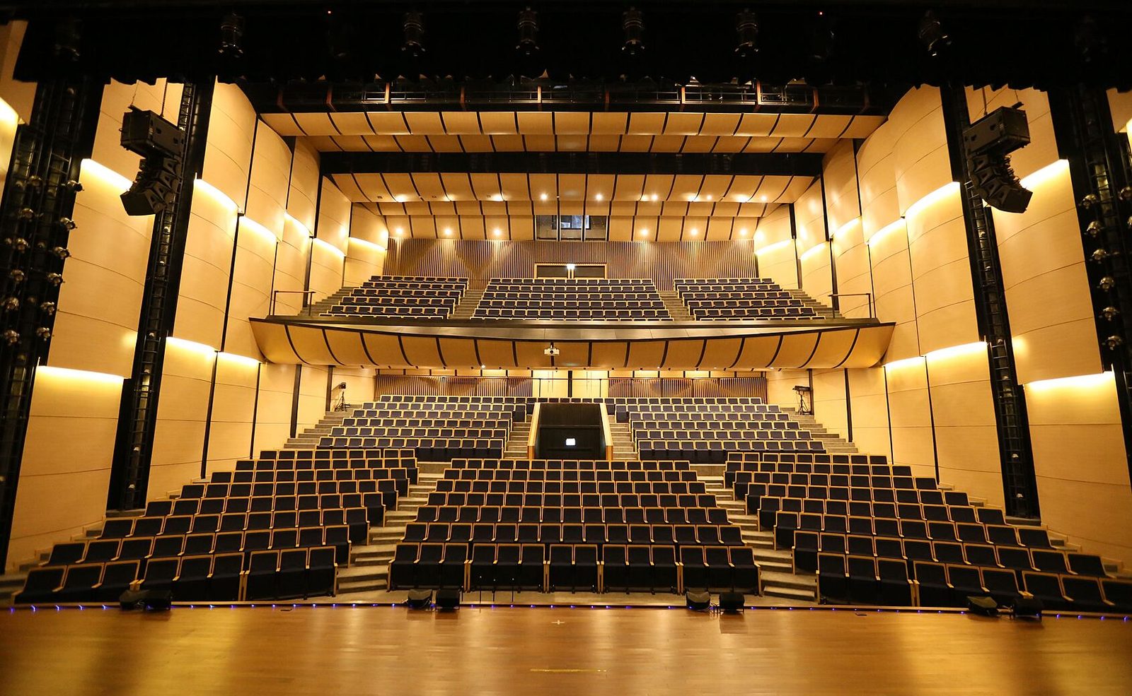 The 650-seat theatre in the Performing Arts Centre