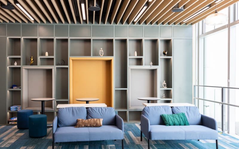 Common room with sofas and bookshelves