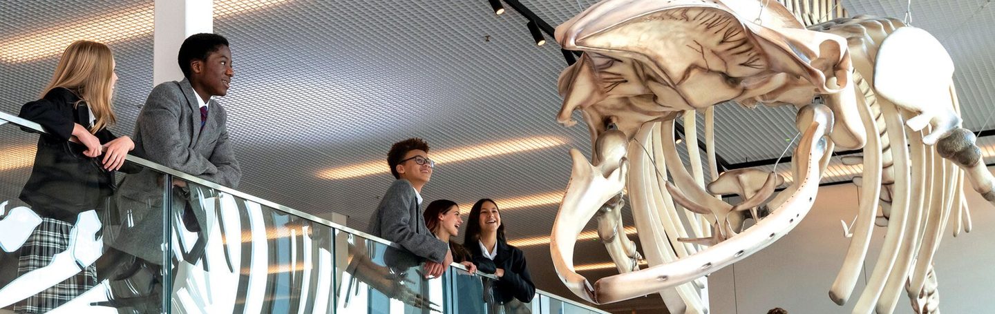 Whale skeleton in the atrium of the School of Science and Sport