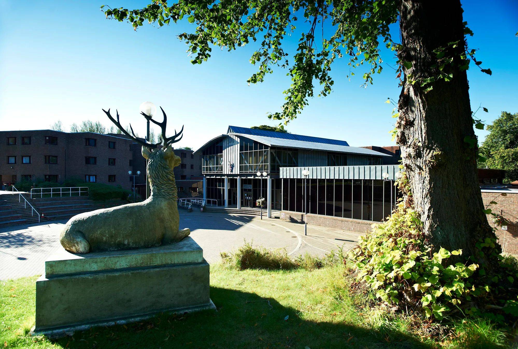 Collingwood College